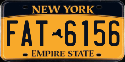 NY license plate FAT6156