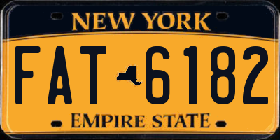 NY license plate FAT6182