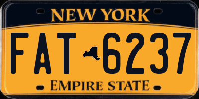 NY license plate FAT6237