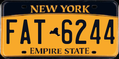 NY license plate FAT6244