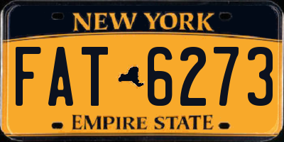 NY license plate FAT6273