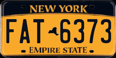 NY license plate FAT6373
