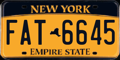 NY license plate FAT6645