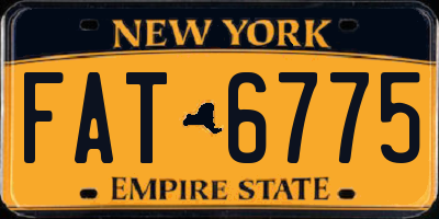 NY license plate FAT6775