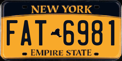 NY license plate FAT6981