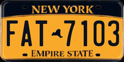 NY license plate FAT7103