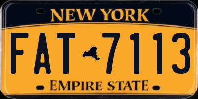 NY license plate FAT7113