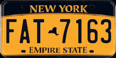 NY license plate FAT7163