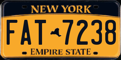 NY license plate FAT7238