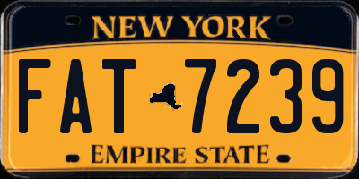 NY license plate FAT7239