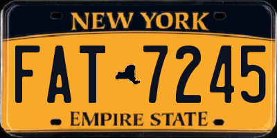 NY license plate FAT7245