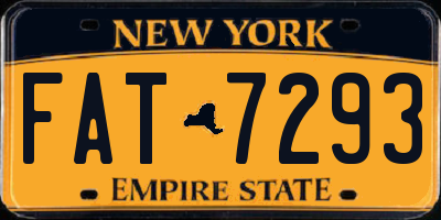 NY license plate FAT7293