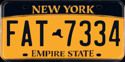 NY license plate FAT7334