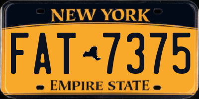 NY license plate FAT7375