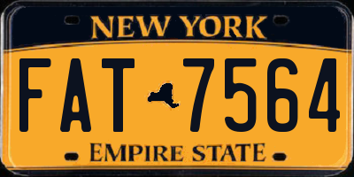 NY license plate FAT7564