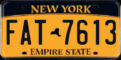 NY license plate FAT7613