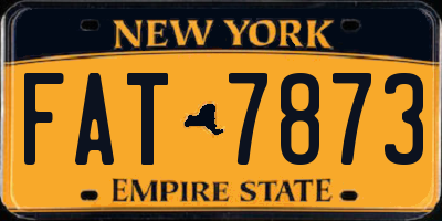 NY license plate FAT7873