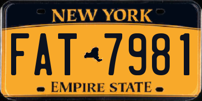 NY license plate FAT7981