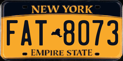 NY license plate FAT8073