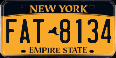 NY license plate FAT8134