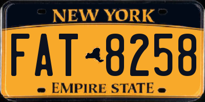 NY license plate FAT8258