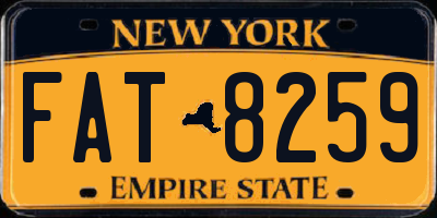 NY license plate FAT8259