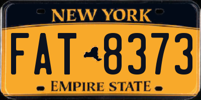 NY license plate FAT8373