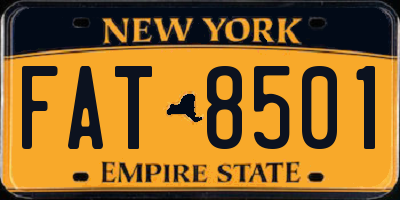 NY license plate FAT8501