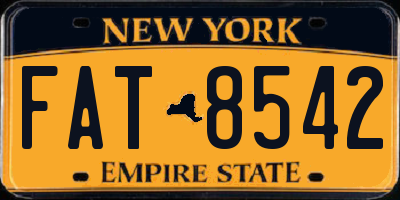 NY license plate FAT8542