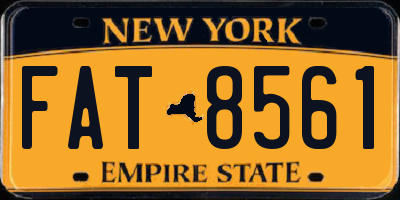 NY license plate FAT8561