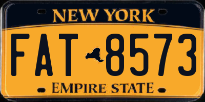 NY license plate FAT8573