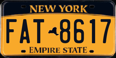 NY license plate FAT8617
