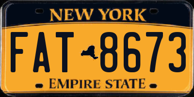 NY license plate FAT8673