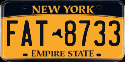 NY license plate FAT8733