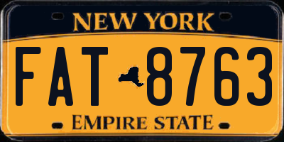 NY license plate FAT8763