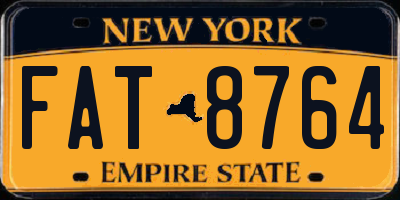 NY license plate FAT8764