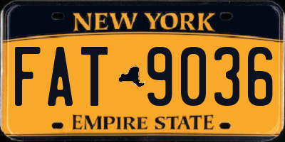 NY license plate FAT9036
