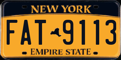 NY license plate FAT9113