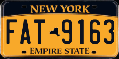 NY license plate FAT9163