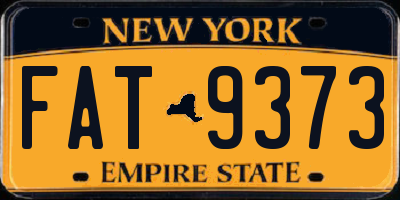 NY license plate FAT9373
