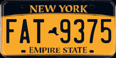 NY license plate FAT9375