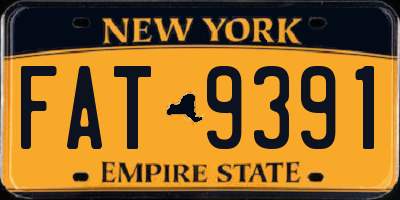 NY license plate FAT9391