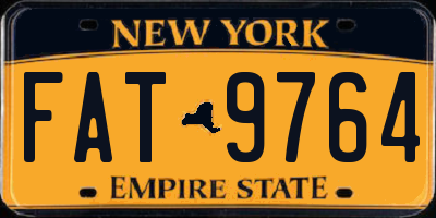 NY license plate FAT9764