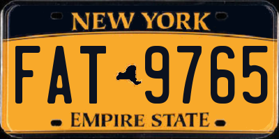 NY license plate FAT9765