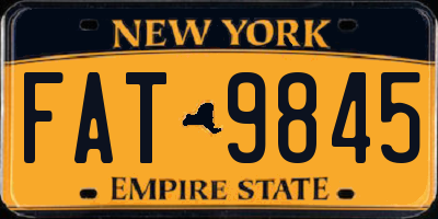 NY license plate FAT9845