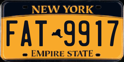 NY license plate FAT9917