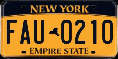 NY license plate FAU0210