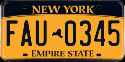 NY license plate FAU0345