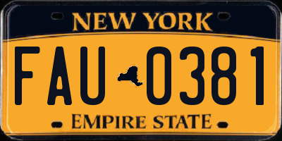 NY license plate FAU0381