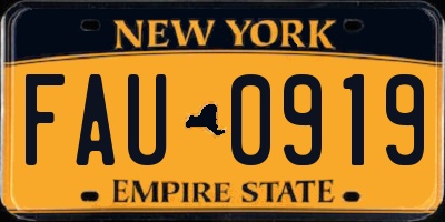 NY license plate FAU0919
